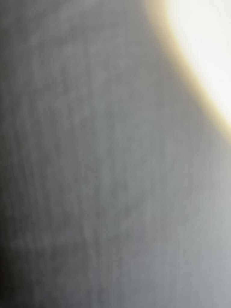 Profile picture 1